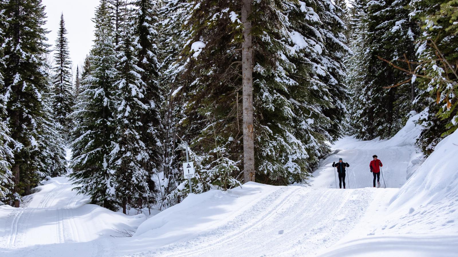 Golden-BC-Activities-Nordic cross country skiing-credit Maur Mere Media-26.jpg Dawn Mountain Nordic Centre