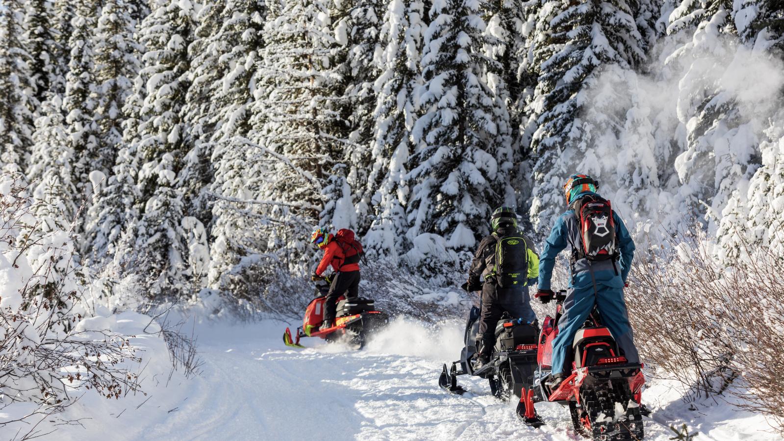Golden-BC-Activities-Snowmobiling-credit Dave Best-186.jpg Snowmobiling