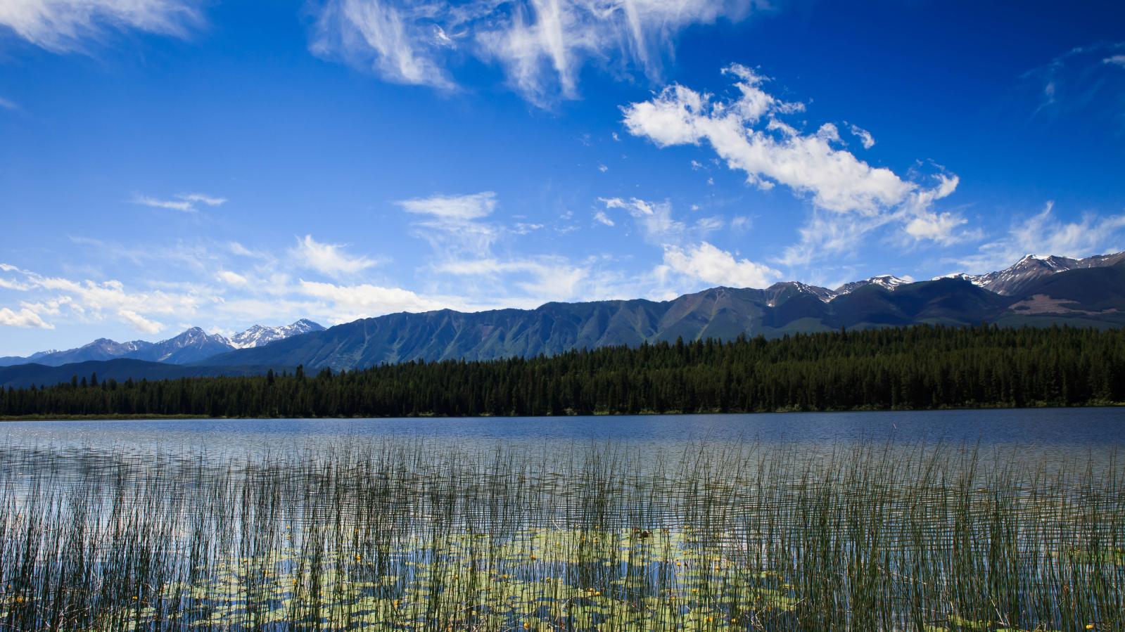 Golden-BC-Attractions-Mitten Lake-credit Dave Best.jpg Mitten Lake