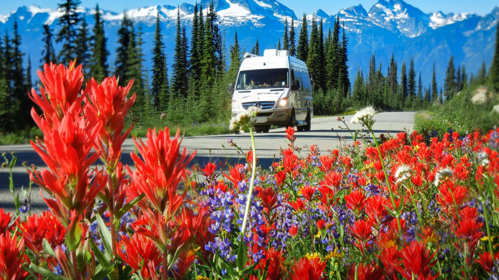 Meadows in the Sky Parkway _Karen Best.jpg Mt. Revelstoke Meadows in the Parkway